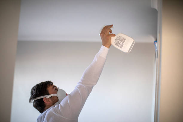 Attic Mold Removal in Elk Creek, KY